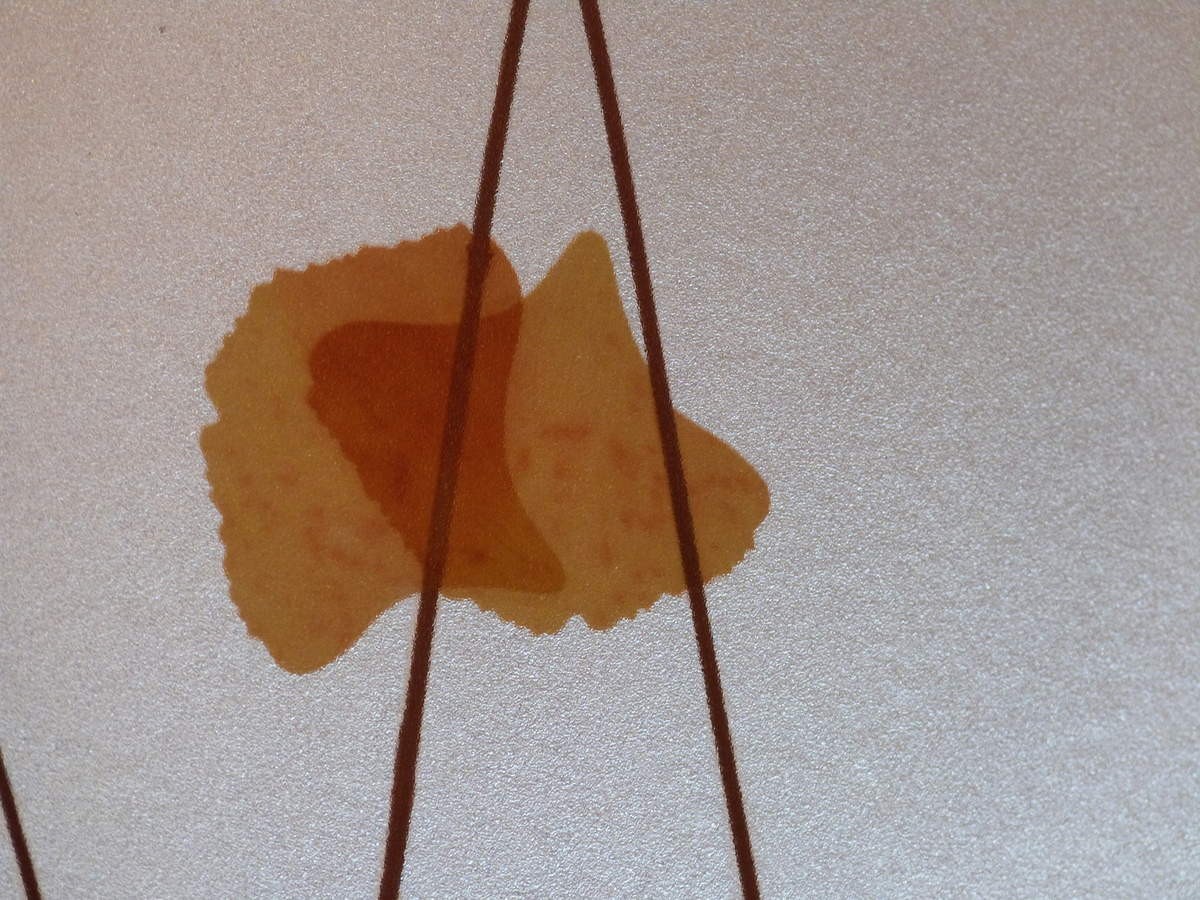p64.jpg