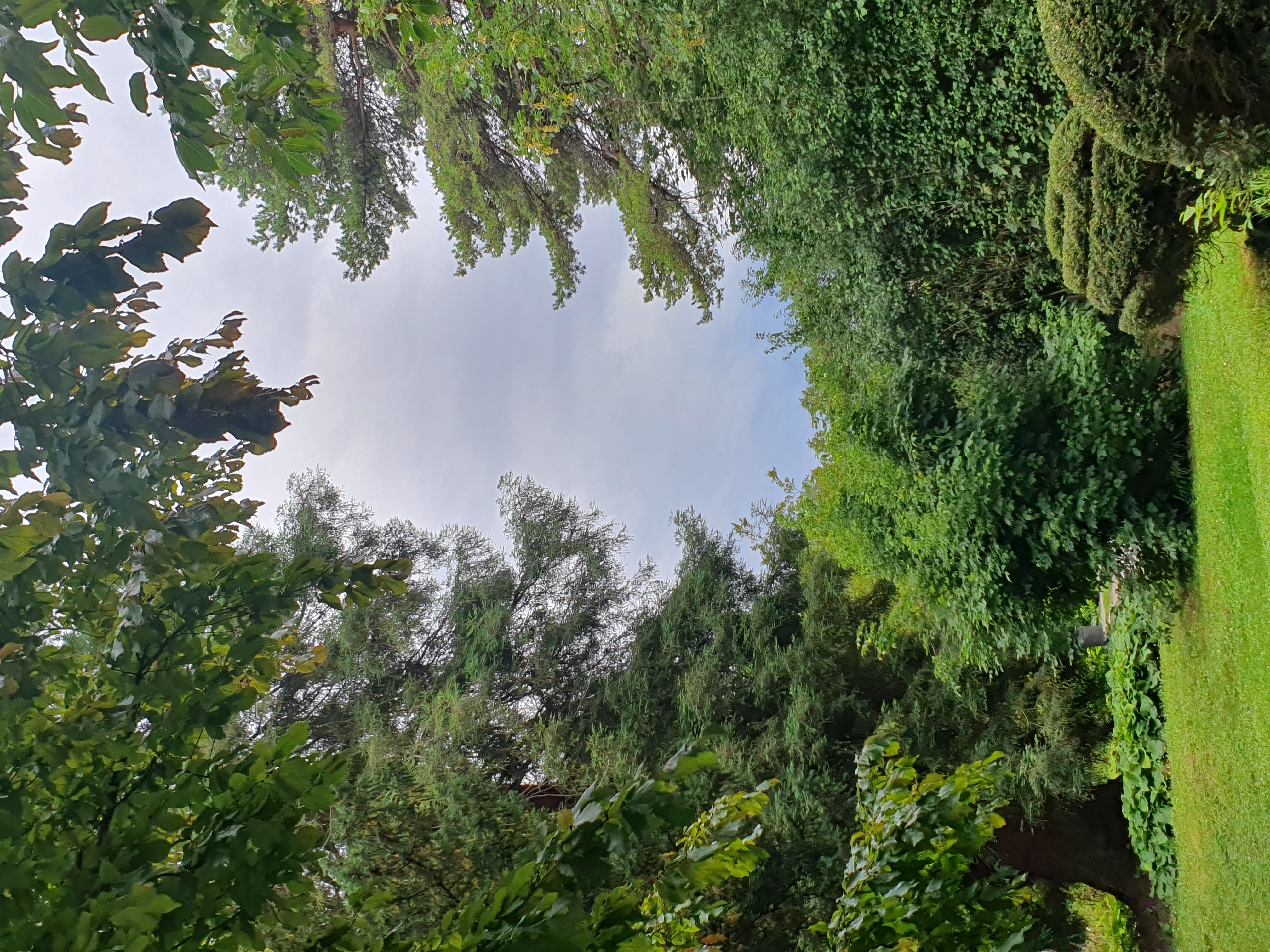 20240622_181148.jpg