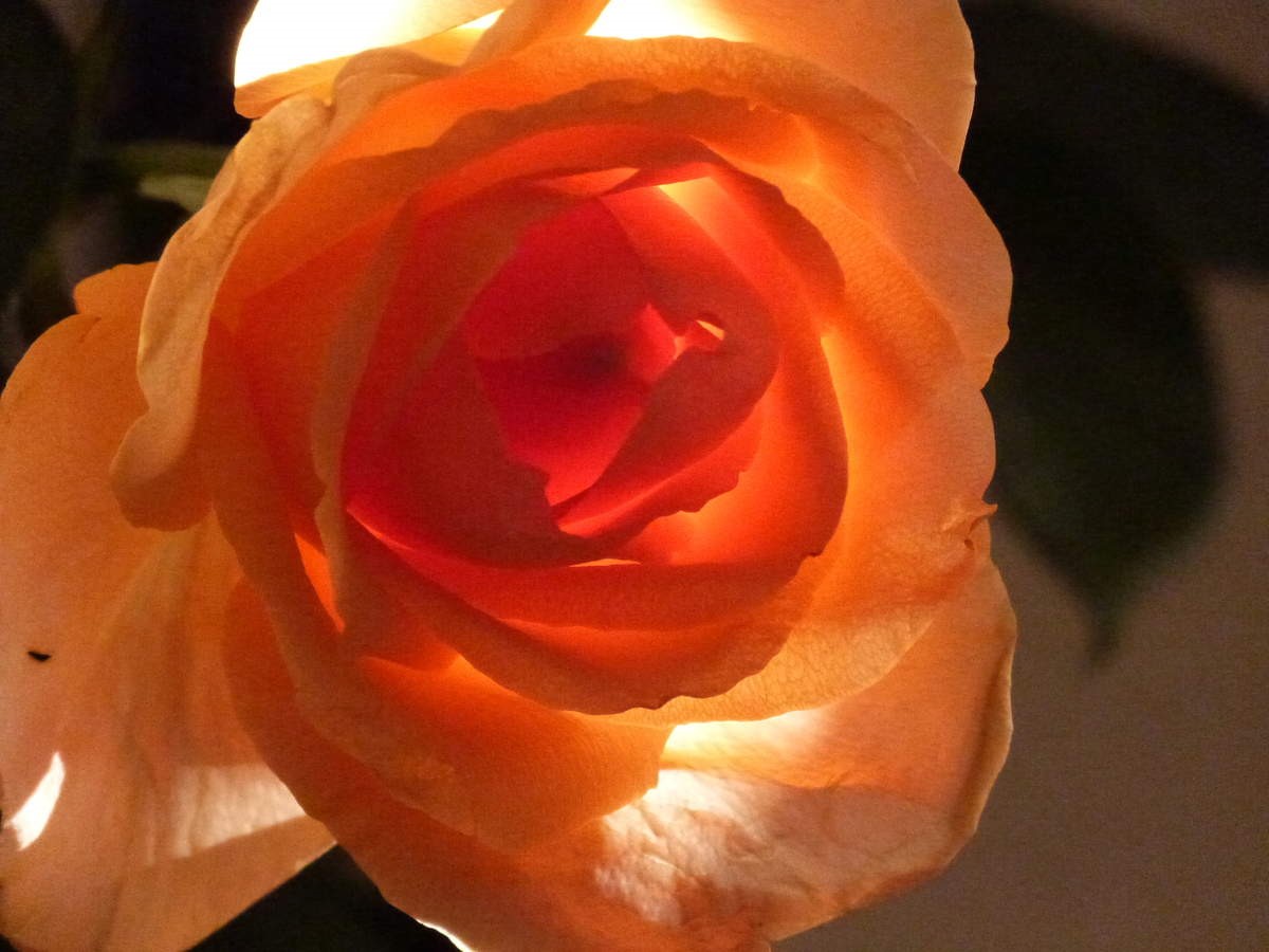 p151.jpg