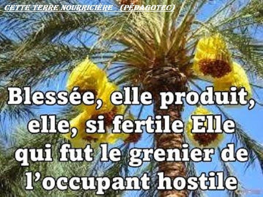 cette-terre-nourriciere-1.jpg