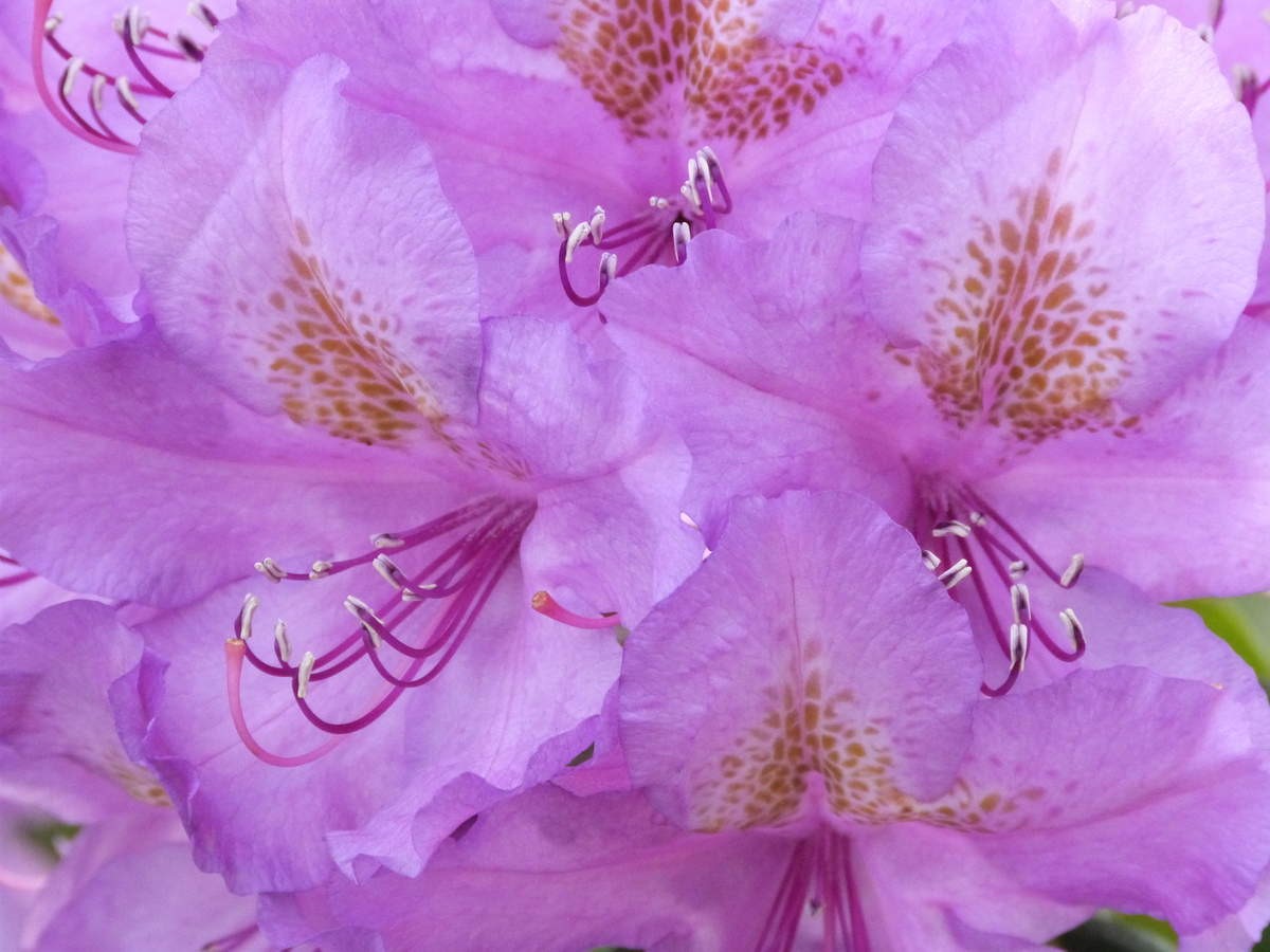 p67.jpg