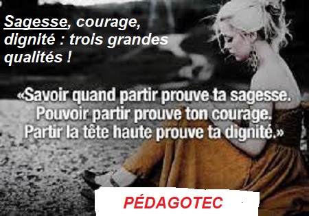 Trois grandes qualités qui ont leur utilité.jpg