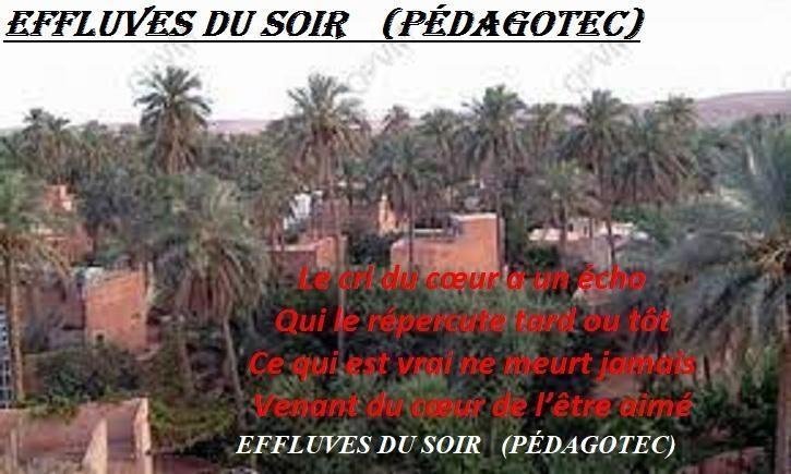 efflures-du-soir-.jpg