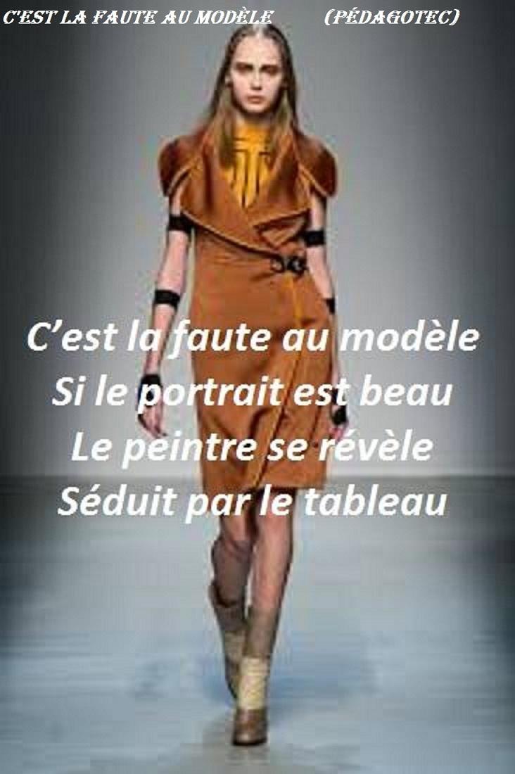 c-est-la-faute-au-modele....jpg