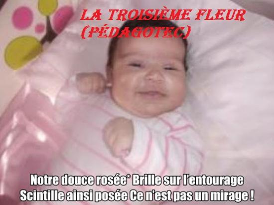 la-troisieme-fleur--1.jpg