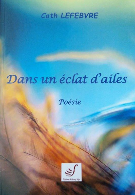 1ere de couv Dans un éclat d'ailes.jpg