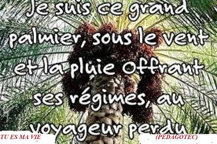 tu-es-ma-vie...-.jpg