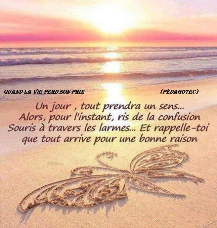 quand-la-vie-perd-son-prix-2.jpg