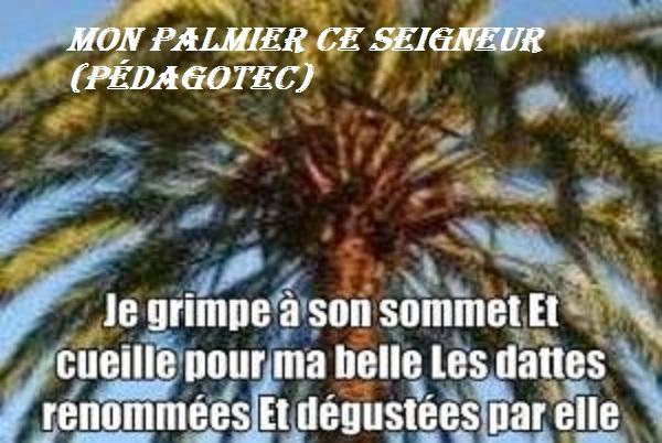 mon-palmier-ce-seigneur....jpg