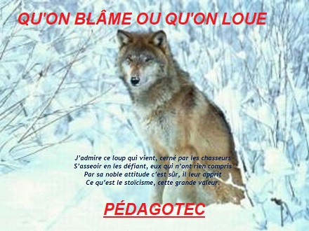 qu-on-blame-ou-qu-on-loue-2.jpg