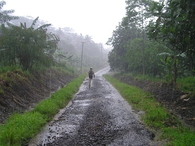 downpour-42_1280.jpg