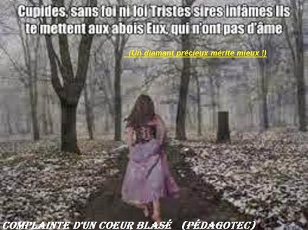 complainte-d-un-coeur-blase-4.jpg