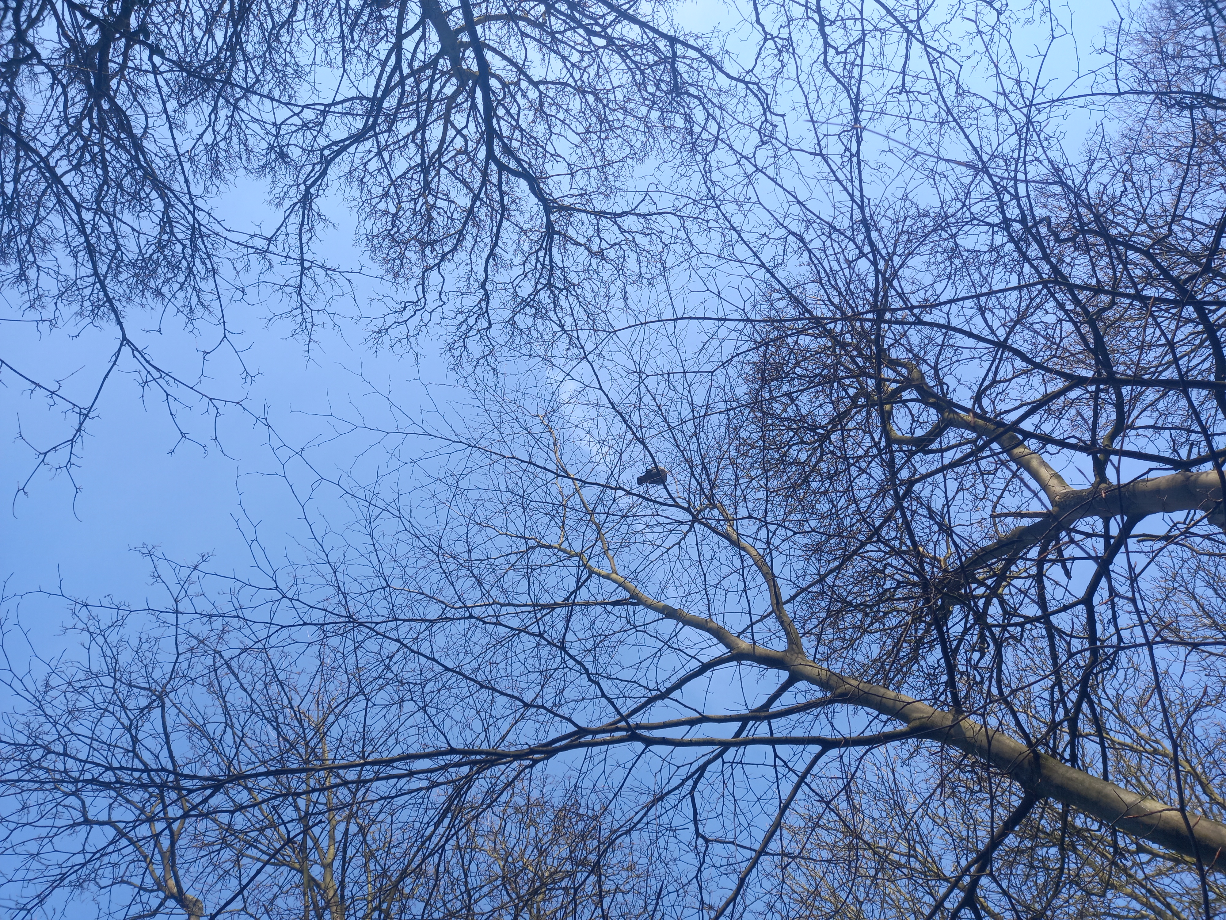 20250308_094737.jpg