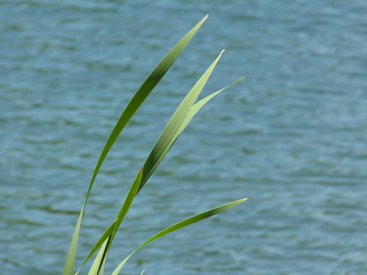 p128.jpg
