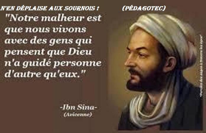 n-en-deplaise-...-1.jpg
