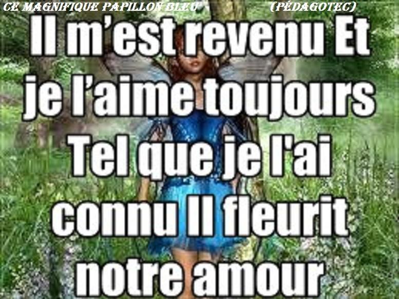 ce-magnifique-papillon.bleu........-1.jpg
