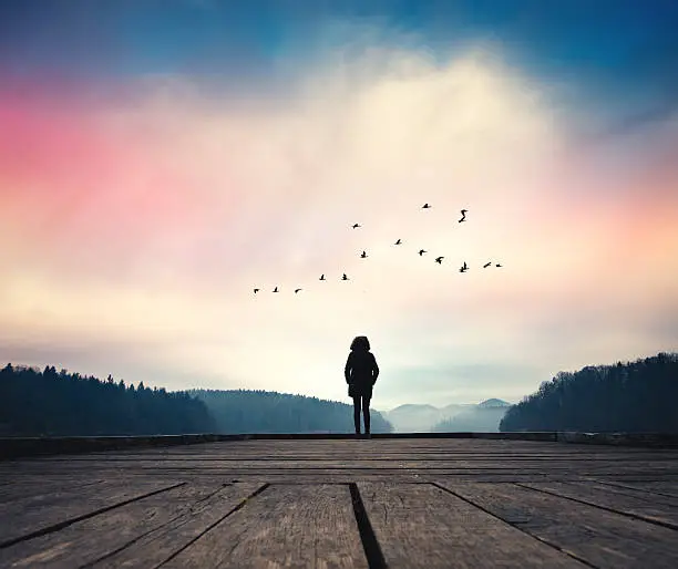SOLITUDE.webp