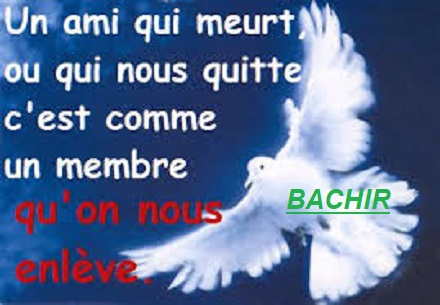UN ANGE AU PARADIS....jpg