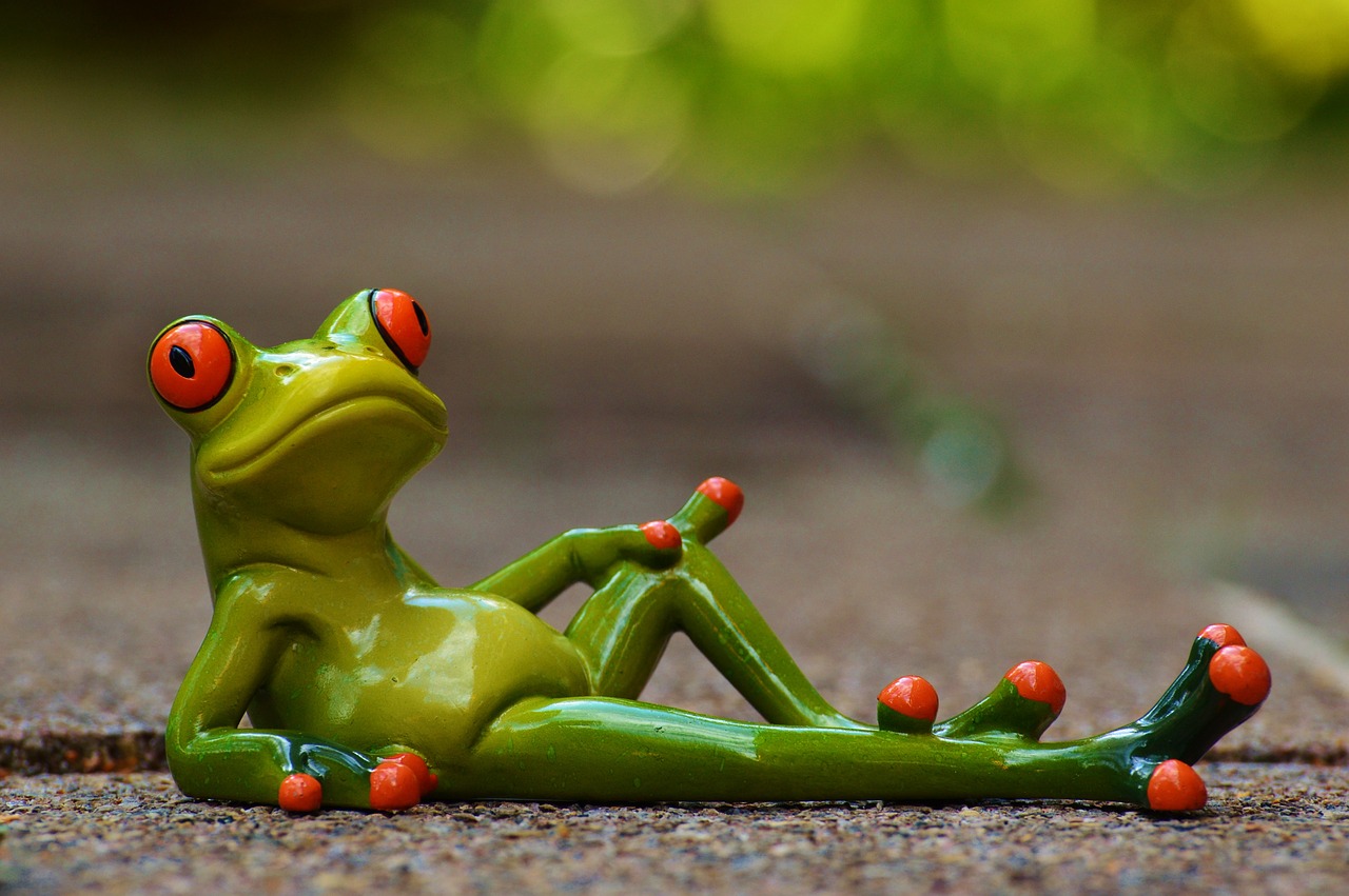 grenouille.jpg