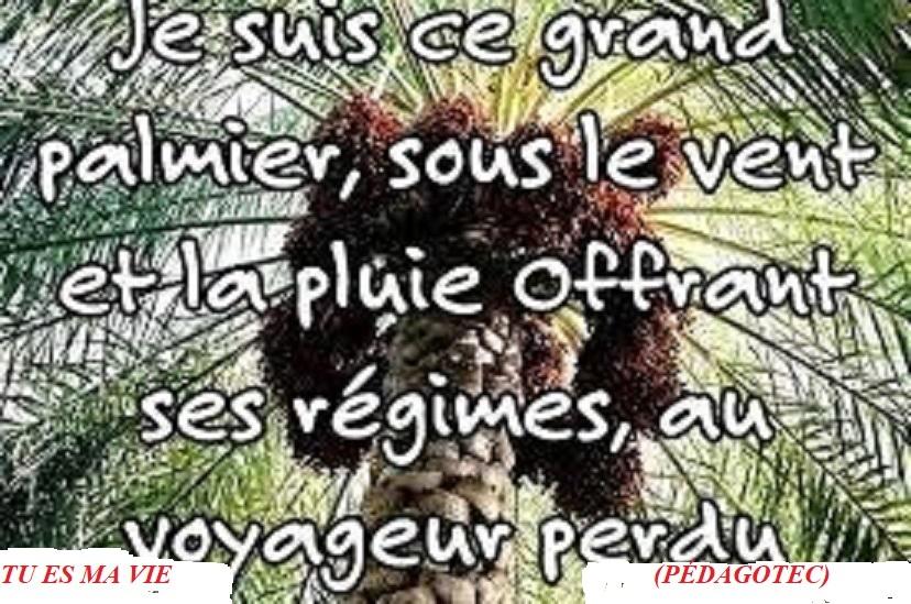 tu-es-ma-vie...-.jpg