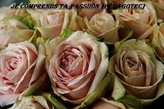 je-comprends-ta-passion-1.jpg