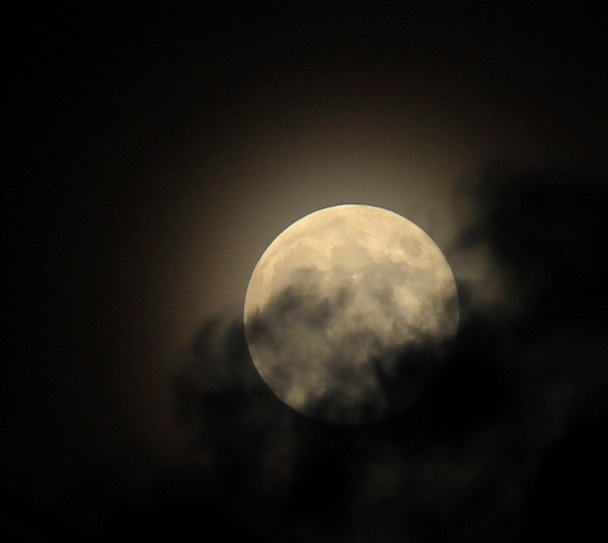 moon-5468292_1280.jpg