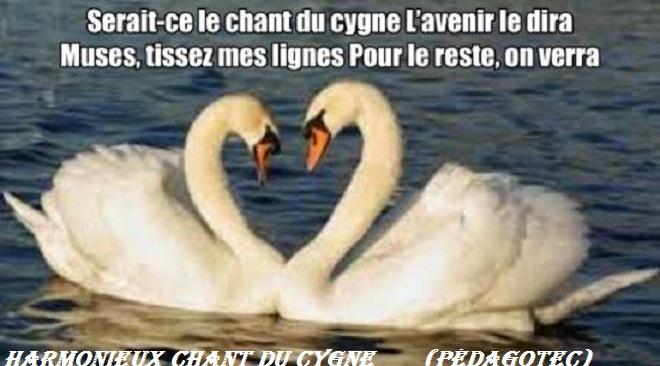 harmonieux-chant-du-cygne--1 (1).jpg