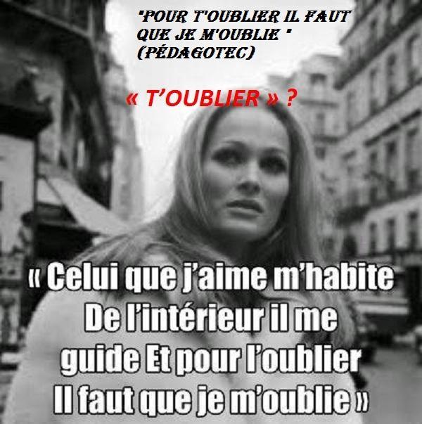 pour-toublier-il-faut-que-je-m-oublie...-.jpg