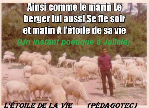 l-etoile-de-la-vie-1.jpg