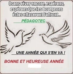 Bonne et heureuse année der.jpeg