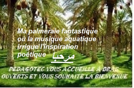 pedagotec- (1).jpg