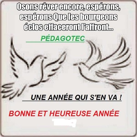 une-annee-qui-s-en-va-1.jpg